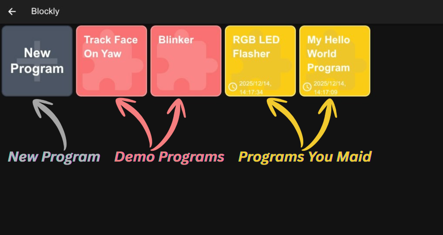 Blockly program manager